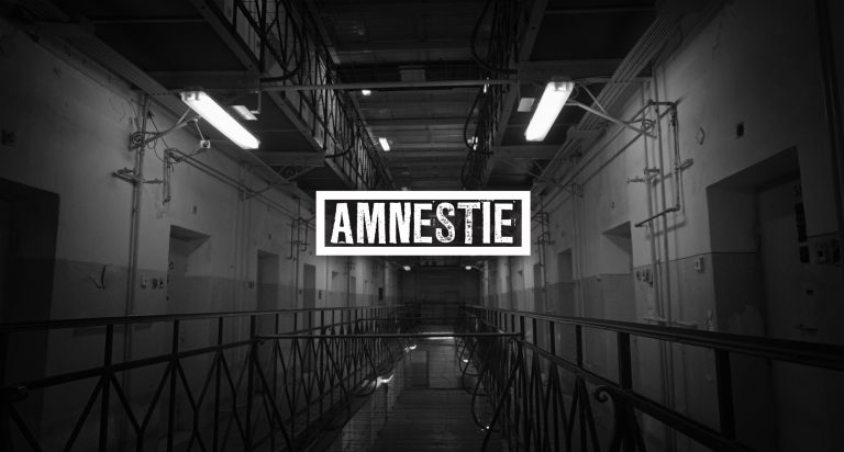 Amnestie