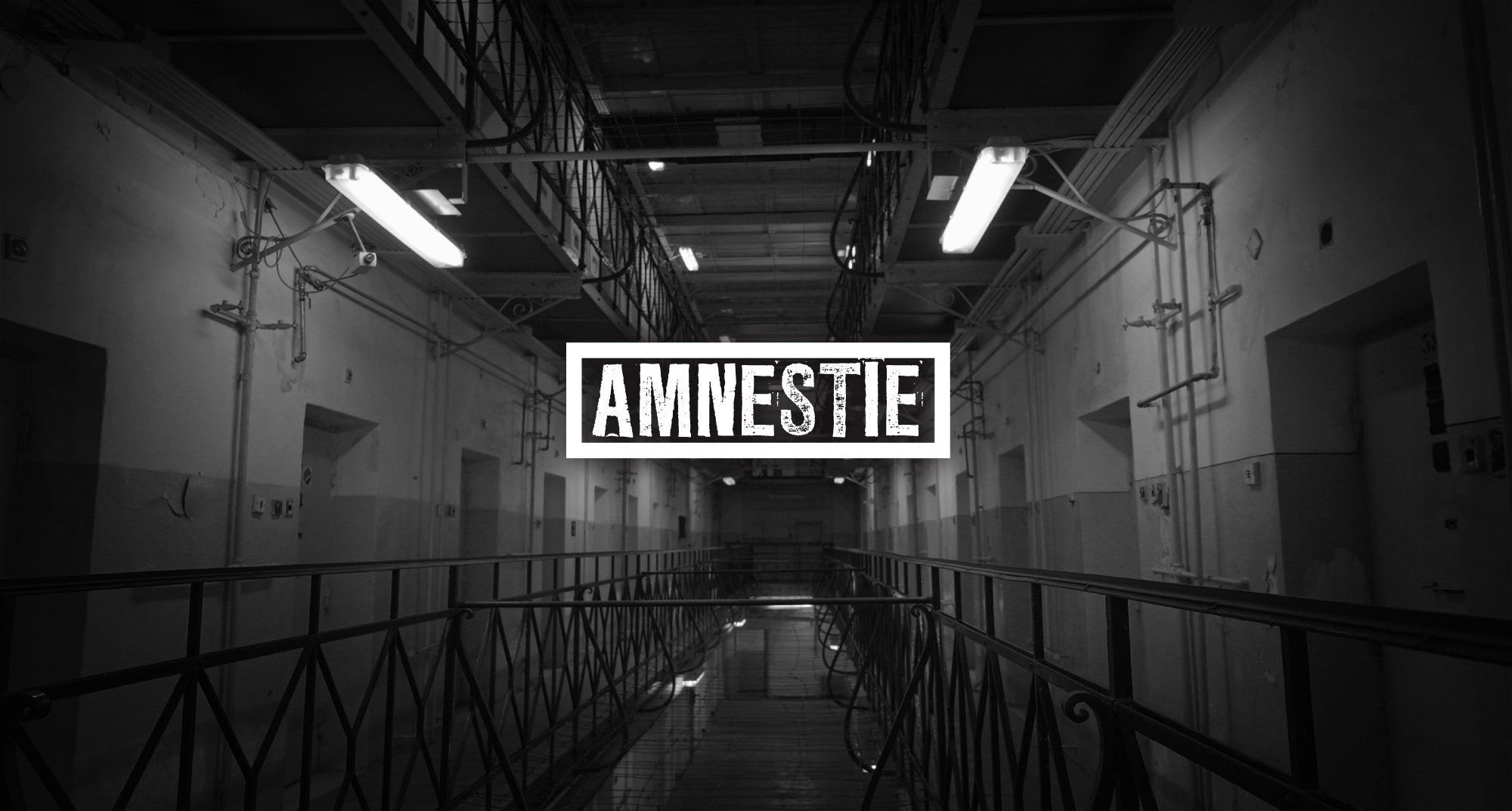 Amnestie