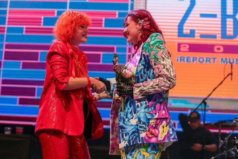 Karin Ann Žebřík Awards