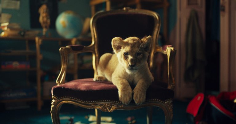 Dobrodružstvo počas záchrany levíčaťa prináša do kín rodinný film King