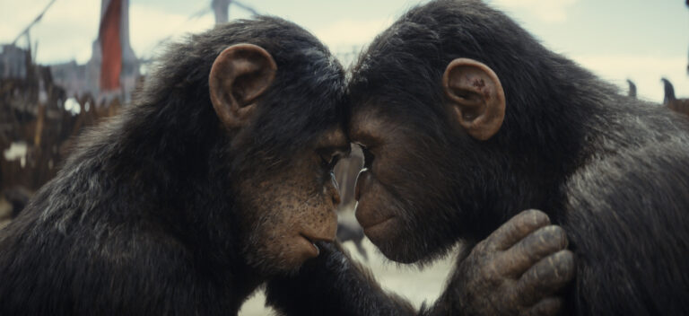 (L-R): Soona (played by Lydia Peckham) and Noa (played by Owen Teague) in 20th Century Studios' KINGDOM OF THE PLANET OF THE APES. Photo courtesy of 20th Century Studios. © 2023 20th Century Studios. All Rights Reserved.