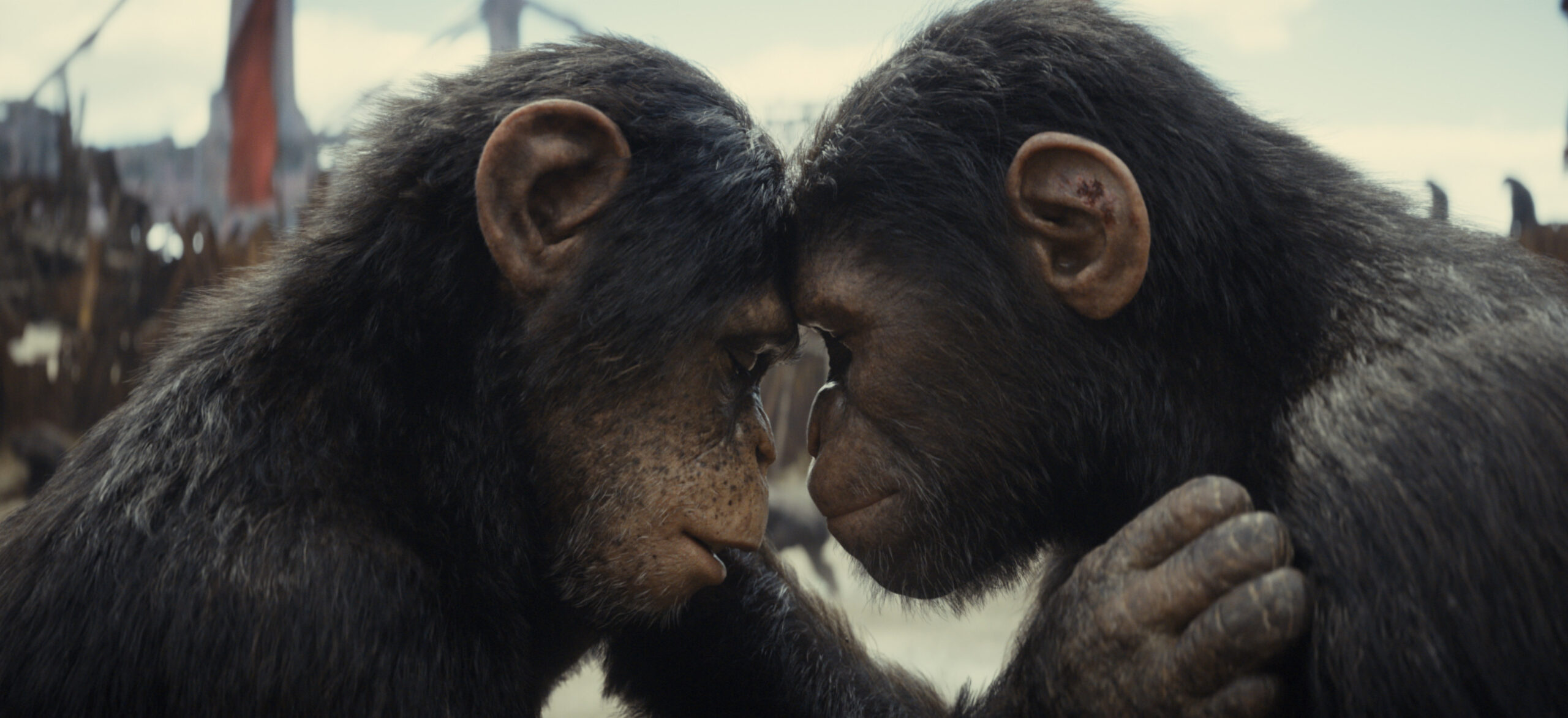 (L-R): Soona (played by Lydia Peckham) and Noa (played by Owen Teague) in 20th Century Studios' KINGDOM OF THE PLANET OF THE APES. Photo courtesy of 20th Century Studios. © 2023 20th Century Studios. All Rights Reserved.
