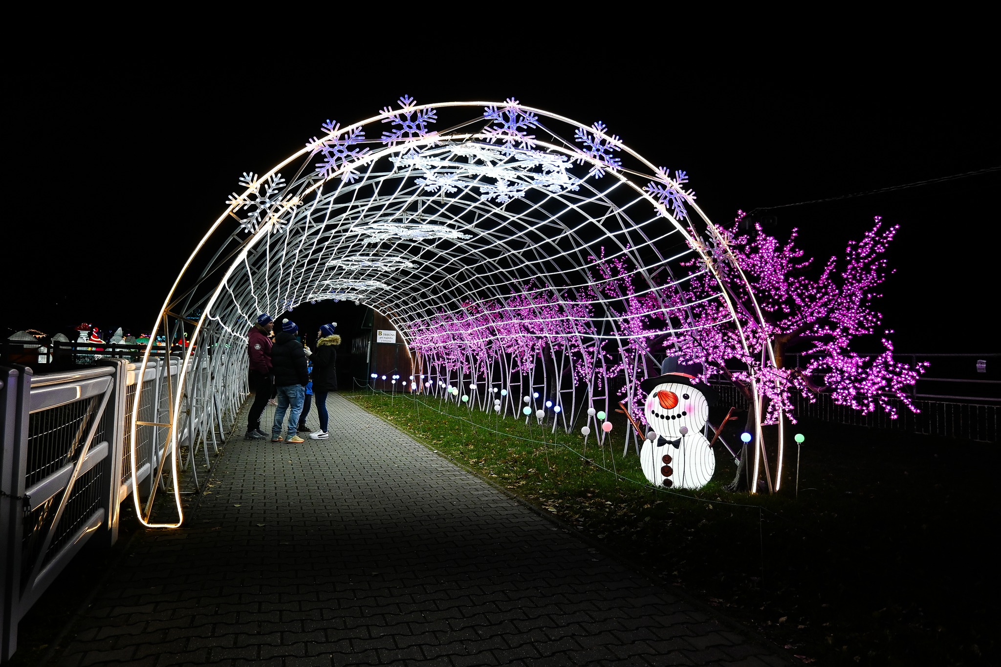 Winter Wonderland tunel