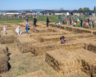 Najväčší slamový labyrint pri Bratislave je otvorený. Nájdete z neho cestu von?
