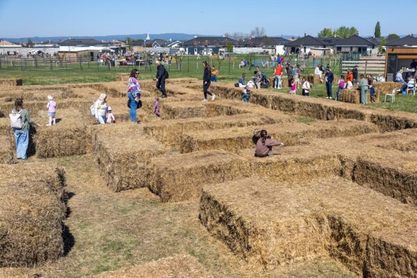 Najväčší slamový labyrint pri Bratislave je otvorený. Nájdete z neho cestu von?