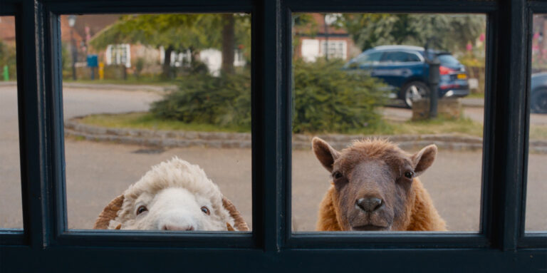 (L to R) Chris O'Dowd as the voice of Mopple and Julia-Louis Dreyfus as the voice of Lily in THE SHEEP DETECTIVES, from Amazon MGM Studios.Photo credit: Courtesy of Amazon MGM Studios© 2026 Amazon Content Services LLC. All Rights Reserved.