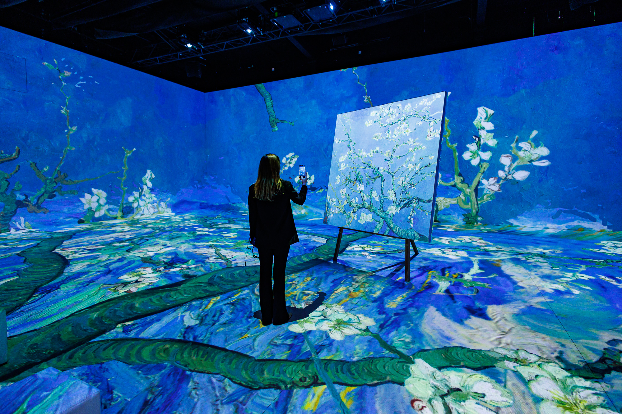 VINCENT: ZWISCHEN WAHN UND WUNDER – Die Immersive Ausstellung - Deutschlandpremiere